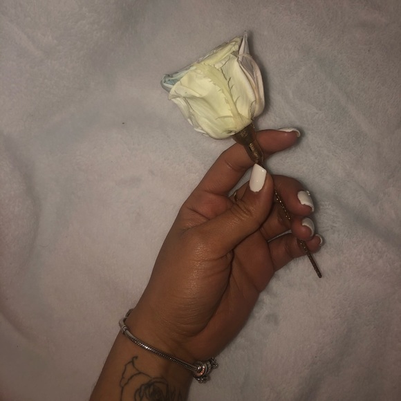 Forever Rose - Picture 4 of 7